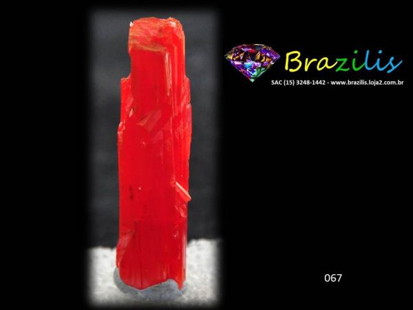 CROCOITA Mineral Pedra COLLECTION Crocoite Crystal GEMSTONE TASMANIA Cód.067M