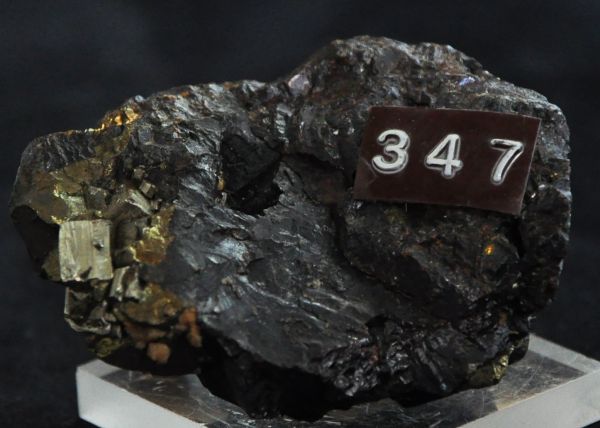 Pirita na Hematita na Rocha Matriz Spécimen Mineral Pedra Cód.347M