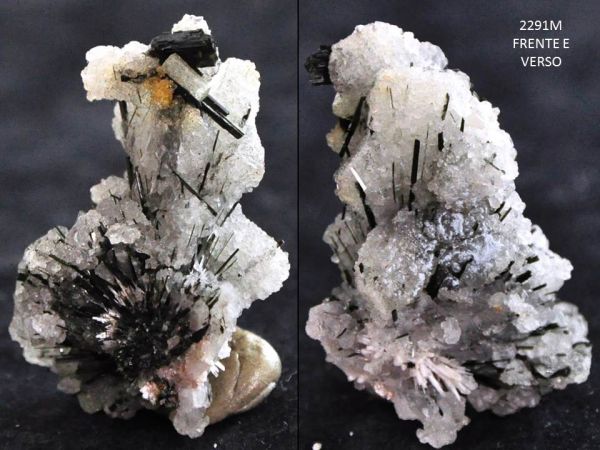 CRISTAIS DE TURMALINA PRETA NO QUARTZO COLLECTION BLACK TOURMALINE ON QUARTZ BRAZIL Cód.2291M