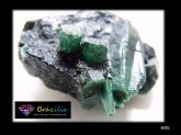 Esmeralda Cristais no Xisto Spécimen Mineral Coleção Emerald