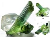 CRISTAL DE TURMALINA VERDE NO QUARTZO GREEN TOURMALINE CRYSTAL BRAZIL Cód.499L