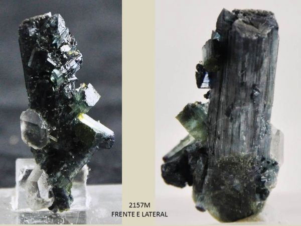 TURMALINA CRISTAIS PRETOS AZUIS COM INCLUSÃO DE QUARTZO BITERMINADO BLUE/BLACK TOURMALINE Cód.2157M
