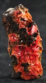 Crocoita Mineral Coleção Pedra Collection Crocoite Gemstone TASMANIA Cód.064M