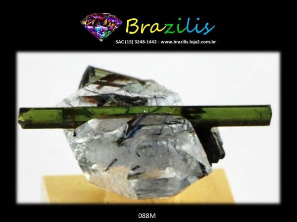 Turmalina Verde Transpassa Quartzo Mineral Pedra Cód. 088M