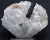 Cristal de Turmalina Preta no Quartzo Brazil Minas Gerais 5014M