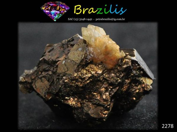 CALCOPIRITA C/ INCLUSÃO CALCITA MINERAL COLLECTION CALCOPIRITE WITH CALCITE PARAIBA BRAZIL Cód.2278M