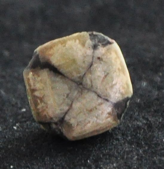 Quiastolita (Pedra Cruz) - Quiastolite Mineral Collection Cod.011M