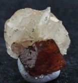 SCHEELITA NA DOLOMITA PEDRA MINERAL COLEÇÃO MORRO VELHO MG SCHEELITE BRAZIL Cód.021M