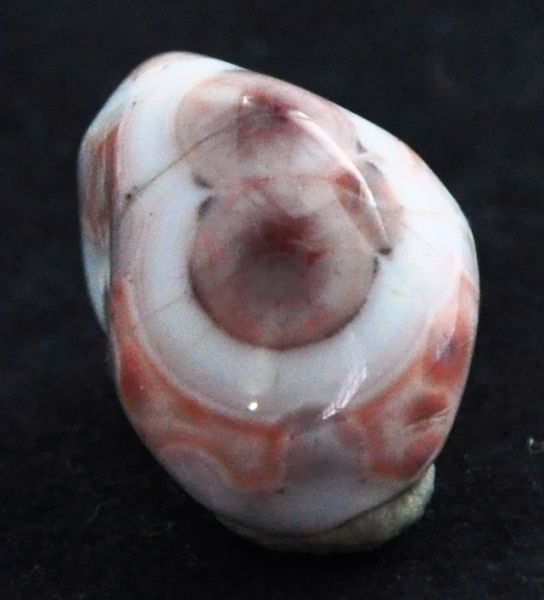 THONSONITA PEDRA MINERAL DE COLEÇÃO MINNESOTTA USA Cód.025M