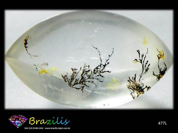 Dendrita Pedra Preciosa Lapidada Dendritic Cut Cód.477L