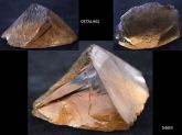PONTA DE CRISTAL FUMÊ PEDRA MINERAL COLLECTION SMOKY POINT QUARTZ Cód.546M