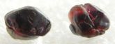 GRANADAS ALMANDINAS Spécimen Mineral Pedra COLLECTION  GARNETS ALMANDINES BRAZIL. Cód.092M