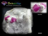 Rubi Pedra Preciosa Mineral Coleção Ruby Gemstones Cód.484M